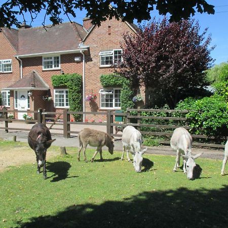 Villa Hops Annex Brockenhurst Exterior foto