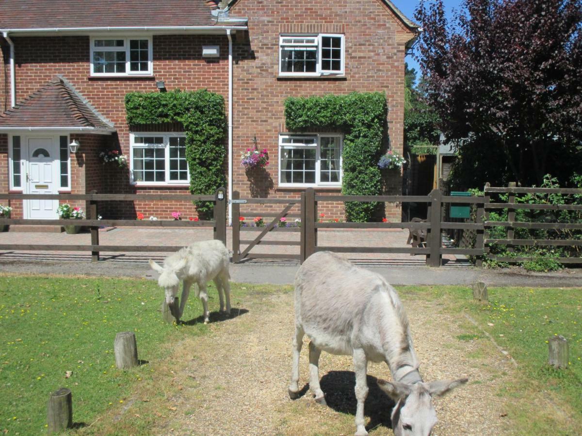 Villa Hops Annex Brockenhurst Exterior foto